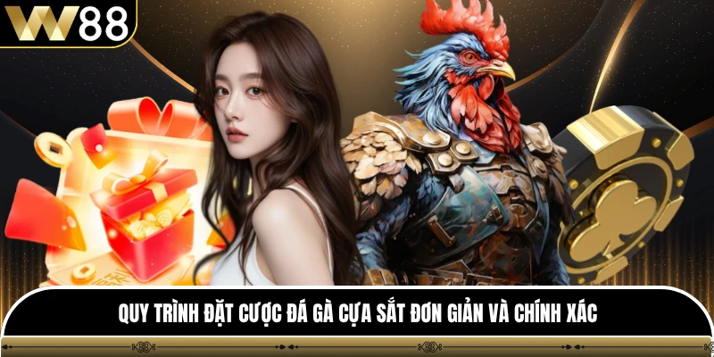 Quy trình đặt cược đá gà cựa sắt đơn giản và chính xác 